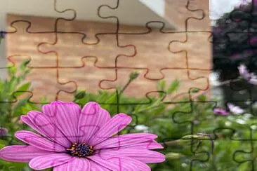 Naturaleza y Ciudad - Antejardines Tunja jigsaw puzzle