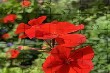 Naturaleza y Ciudad - Antejardines Tunja jigsaw puzzle