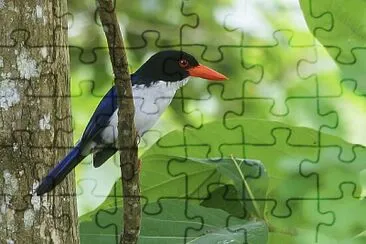 Martin pescatore scintillante jigsaw puzzle