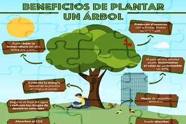 bENEFICIOS DE PLANTAR UN ARBOL jigsaw puzzle