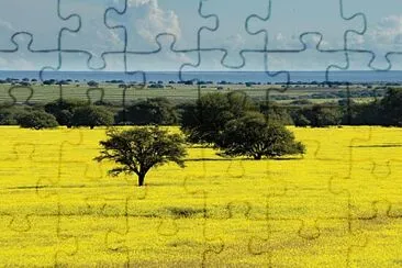 imagem jigsaw puzzle