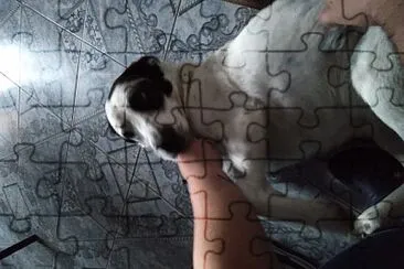  jigsaw puzzle