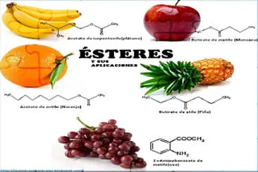 Ésteres