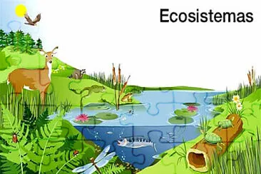 Ecosistema