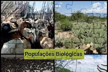 Populações Biológicas