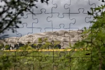 PROYECTO jigsaw puzzle