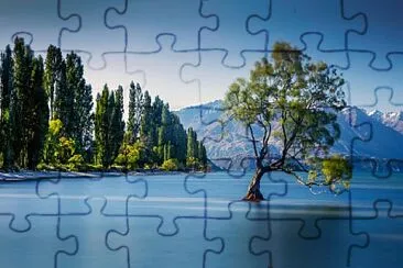 CONFIANDO jigsaw puzzle