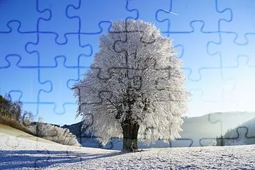 B034 jigsaw puzzle