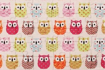 colorful owls