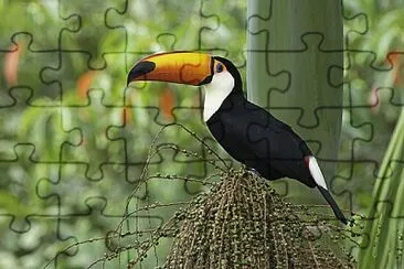 token jigsaw puzzle