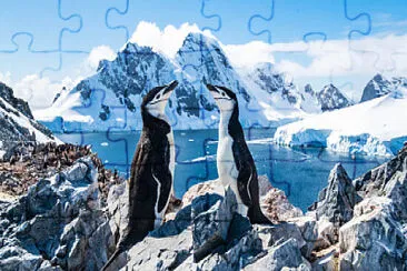 landscape jigsaw puzzle