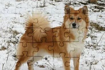 Icelandic jigsaw puzzle