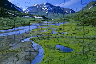 B040 jigsaw puzzle