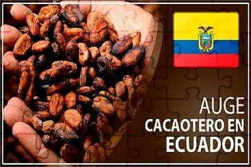 Boom cacaotero jigsaw puzzle