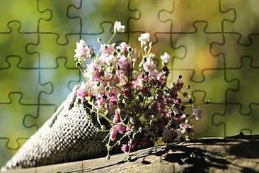 Top jigsaw puzzle