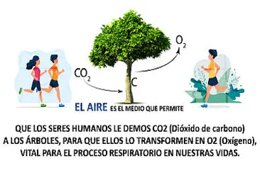 ecojomaber 2