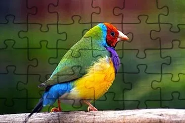 Foto jigsaw puzzle