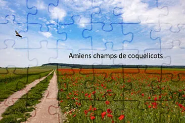 פאזל של Champ de coquelicots