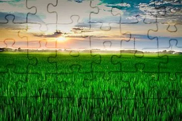 Foto jigsaw puzzle