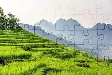 Foto jigsaw puzzle