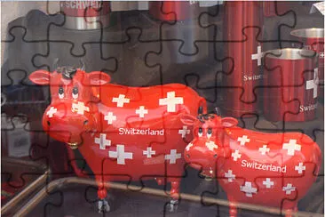 vacas sui jigsaw puzzle