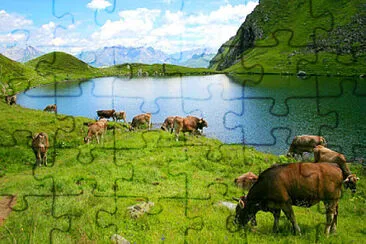 Laguna jigsaw puzzle