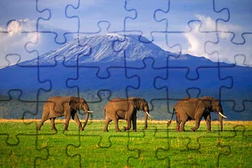 Elefantes jigsaw puzzle