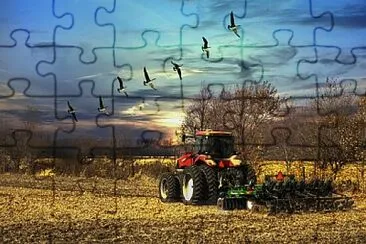 Foto jigsaw puzzle