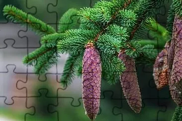 Foto jigsaw puzzle