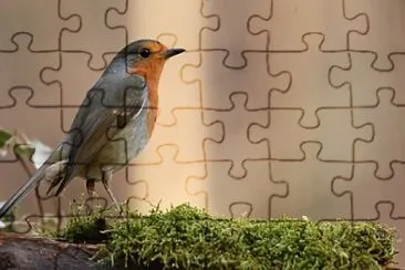 Foto jigsaw puzzle