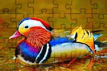 Foto jigsaw puzzle