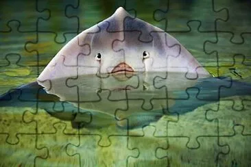 Foto jigsaw puzzle