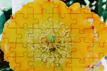 FLOWERS jigsaw puzzle