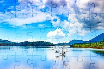 Toy jigsaw puzzle