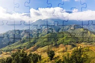 Toy jigsaw puzzle