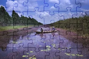 Toy jigsaw puzzle