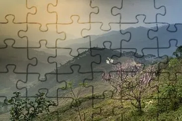 Toy jigsaw puzzle