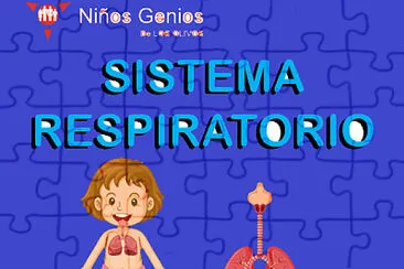 sistema respiratorio