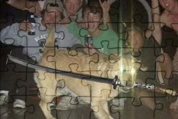 perro admin jigsaw puzzle