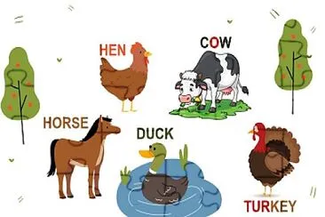 FARM ANIMALS