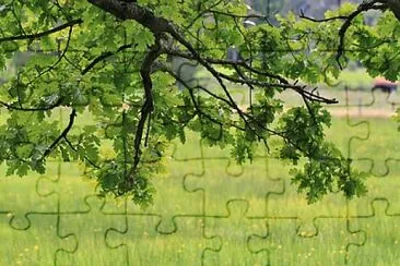 Imagem jigsaw puzzle