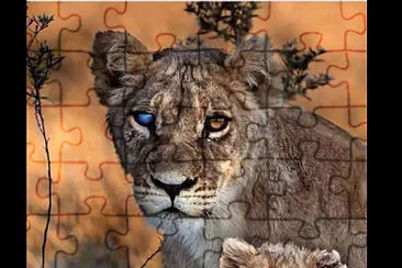 leona jigsaw puzzle