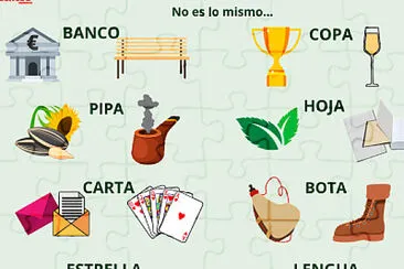 PALABRAS HOMÓGRAFAS jigsaw puzzle