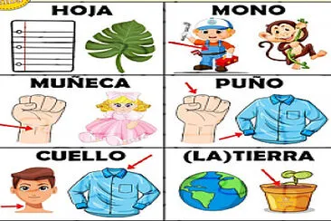 PALABRAS HOMOGRAFAS II jigsaw puzzle