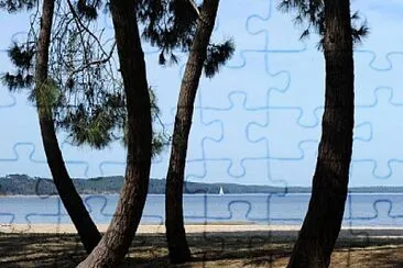 Biscarrosse le lac jigsaw puzzle