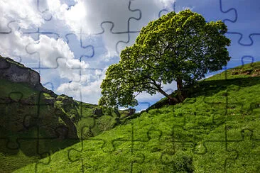 B049 jigsaw puzzle