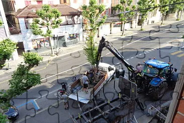 פאזל של Arrivée nouvel arbre Neuchâtel