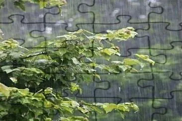 lluvia jigsaw puzzle