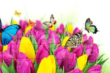 Mariposas y flores jigsaw puzzle