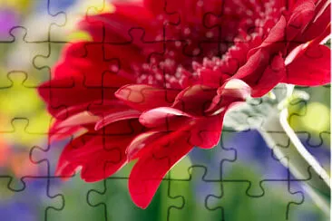 Flores jigsaw puzzle